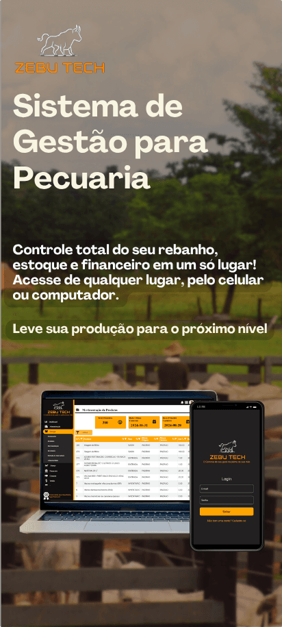 Plano de fundo